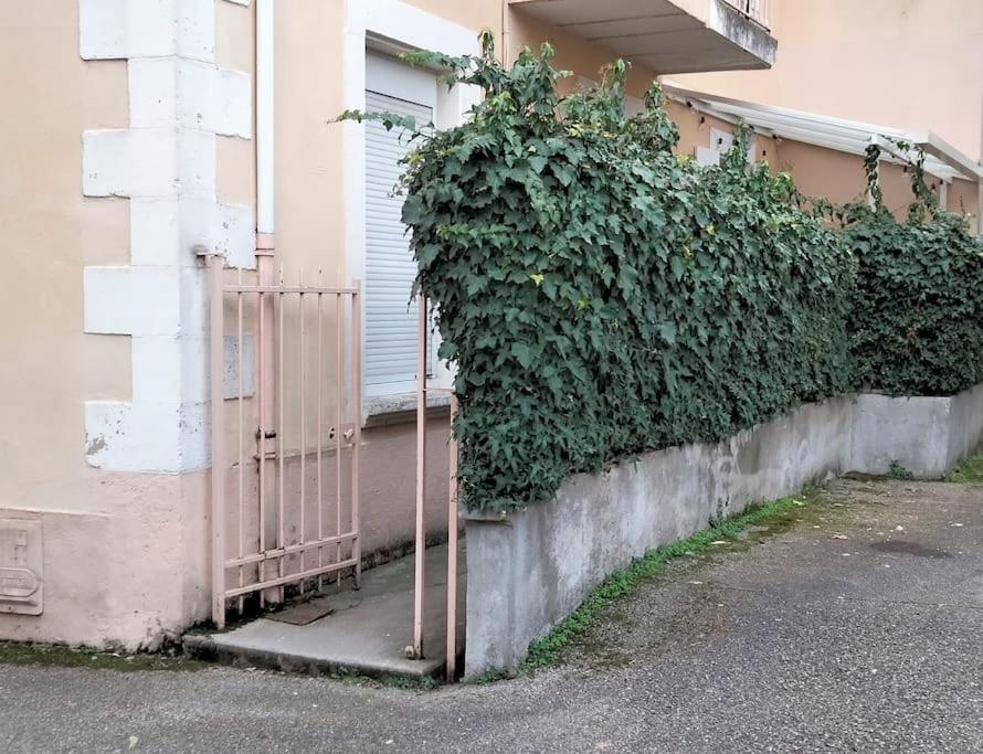 Le Cocon Zen Daire Voiron Dış mekan fotoğraf
